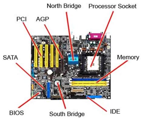 asus 메인보드, 우주 여행을 위한 필수품?