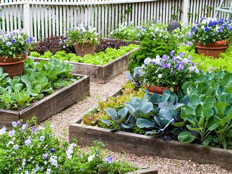 Creating Edible Landscapes: Design Your Own Garden Oasis for Food and Beauty