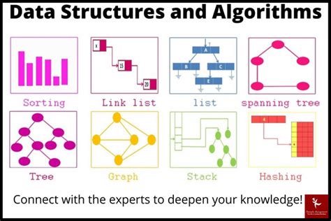 Delving into Data Structures: A Visual Journey Through the Labyrinth of Algorithms