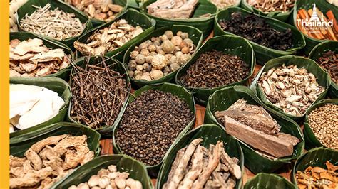 Traditional Thai Medicine: A Journey Through Ancient Healing Practices - Unveiling the Secrets of Holistic Wellness in Southeast Asia